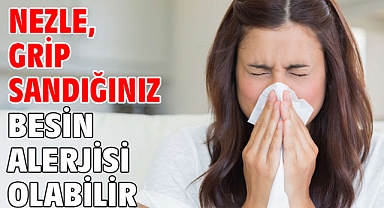 NEZLE, GRİP SANDIĞINIZ BESİN ALERJİSİ OLABİLİR!
