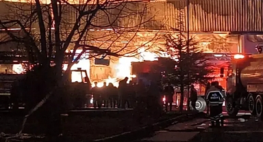 OSB'DEKİ ORMAN ÜRÜNLERİ DEPOSUNDA ÇIKAN YANGIN, BİTİŞİKTEKİ İŞ YERİNE DE SIÇRADI