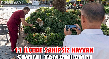 11 ilçede sahipsiz hayvan sayımı tamamlandı