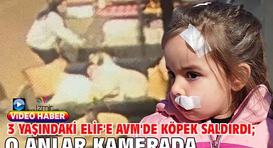 3 yaşındaki Elif'e AVM'de köpek saldırdı; o anlar kamerada
