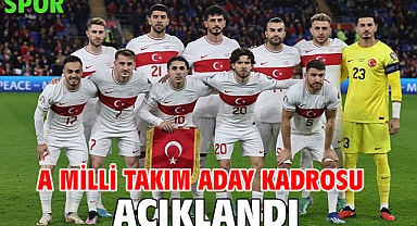 A Milli Takım aday kadrosu açıklandı