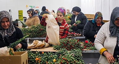 Avrupalı kadınların çiçeği Antalya'dan