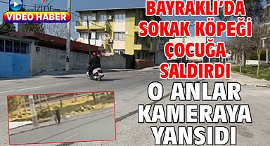 Bayraklı’da sokak köpeği çocuğa saldırdı. O anlar kameraya yansıdı