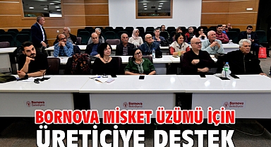 Bornova Misket Üzümü için üreticiye destek
