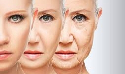 Cilt yaşlanmasını durdurabilecek hormonlar keşfedildi