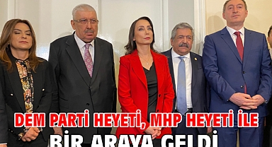 DEM Parti heyeti, MHP heyeti ile bir araya geldi