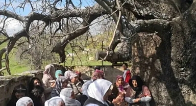 Diyarbakır’da ‘Murat Şenlikleri’ yapıldı