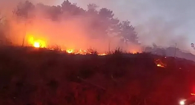 Hatay'da çıkan orman yangını kontrol altına alındı