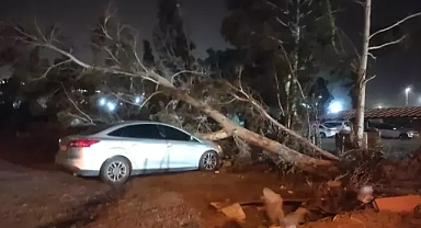 Hatay'da fırtına; tekneler alabora oldu, ağaçlar devrildi