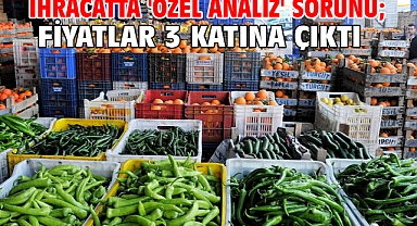 İhracatta 'özel analiz' sorunu; fiyatlar 3 katına çıktı
