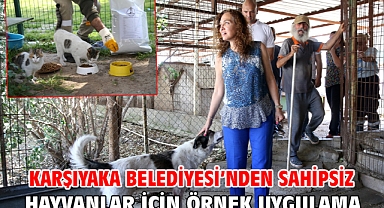 Karşıyaka Belediyesi’nden sahipsiz hayvanlar için örnek uygulama