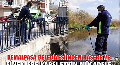 Kemalpaşa Belediyesi’nden Haşere Ve Sineklere Karşı Etkin Mücadele