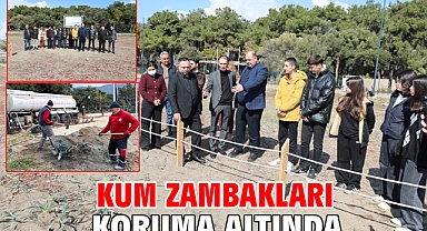 Kum Zambakları Koruma Altında
