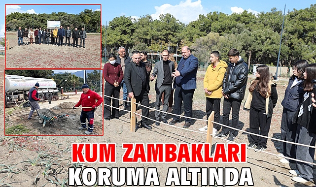 Kum Zambakları Koruma Altında