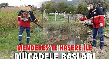 Menderes’te Haşere ile Mücadele Başladı