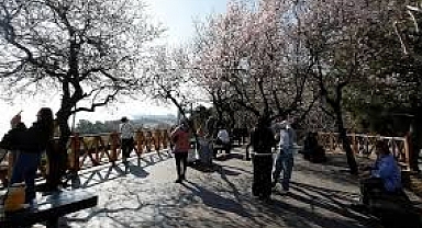 Meteoroloji'den açıklama! Yağış yok; sis, don ve buzlanma var