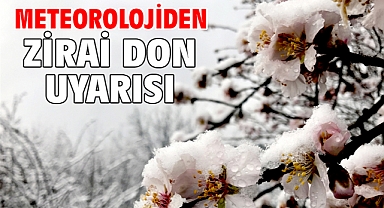 Meteorolojiden zirai don uyarısı
