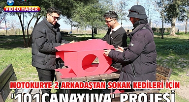 Motokurye 2 arkadaştan sokak kedileri için '101canaYuva' projesi