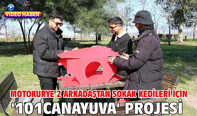 Motokurye 2 arkadaştan sokak kedileri için '101canaYuva' projesi
