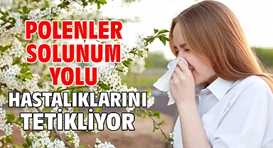Polenler solunum yolu hastalıklarını tetikliyor