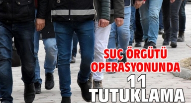 Suç örgütü operasyonunda 11 tutuklama