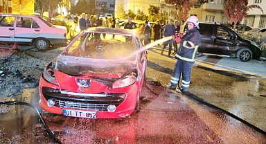 Telefonda 'Psikolojim bozuk' dedikten sonra annesinin otomobilini kundakladı