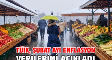 TÜİK, şubat ayı enflasyon verilerini açıkladı