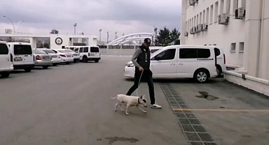 10 bin avro değerindeki köpeği çalan şüpheli tutuklandı