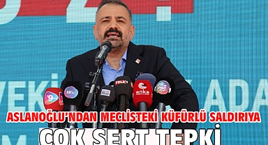 Aslanoğlu’ndan Meclisteki Küfürlü Saldırıya Çok Sert Tepki