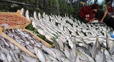 Bu balığı asla derisiyle yemeyin, derisinde daha fazla civa var!