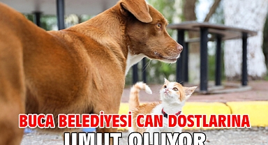 Buca Belediyesi can dostlarına umut oluyor