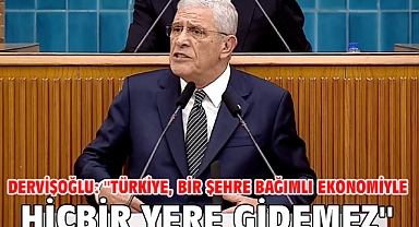 Dervişoğlu: ''Türkiye, bir şehre bağımlı ekonomiyle hiçbir yere gidemez''