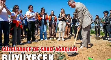 Güzelbahçe’de Sakız Ağaçları Büyüyecek