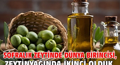 Sofralık zeytinde dünya birincisi, zeytinyağında ikinci olduk