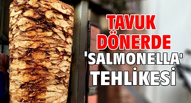 Tavuk dönerde 'salmonella' Tehlikesi
