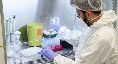 Testis kanseri erken tanı kiti geliştirildi