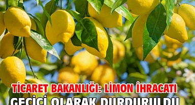 Ticaret Bakanlığı: Limon ihracatı geçici olarak durduruldu