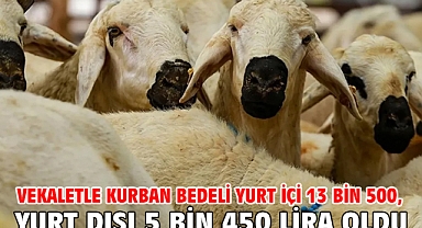 Vekaletle kurban bedeli yurt içi 13 bin 500, yurt dışı 5 bin 450 lira oldu