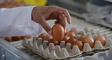 Bu test yumurtanın taze olup olmadığını riske girmeden çözüyor