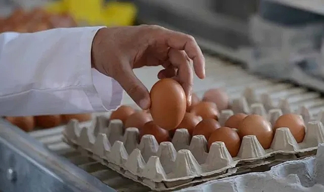 Bu test yumurtanın taze olup olmadığını riske girmeden çözüyor