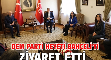 DEM Parti heyeti Bahçeli'yi ziyaret etti