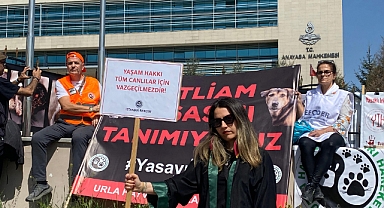 Hayvanseverlerden, AYM önünde 'Hayvanları Koruma Kanunu' nöbeti