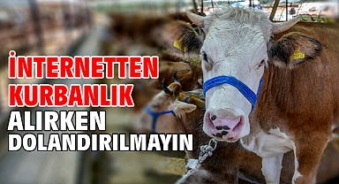 İnternetten kurbanlık alırken dolandırılmayın