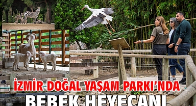 İzmir Doğal Yaşam Parkı’nda bebek heyecanı