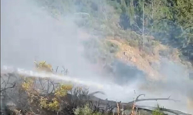 Aydın ve Muğla'daki orman yangınları söndürüldü