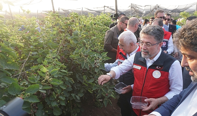 Bakan Yumaklı: Destekleme ödemeleri bugün çiftçilerimizin hesabına yatacak