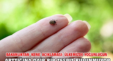 Bakanlıktan 'kene' açıklaması: Ülkemizde yoğunluğun arttığına dair bir tespit bulunmuyor
