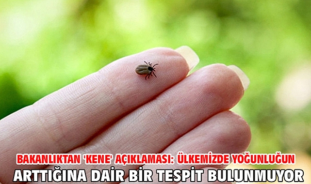 Bakanlıktan 'kene' açıklaması: Ülkemizde yoğunluğun arttığına dair bir tespit bulunmuyor