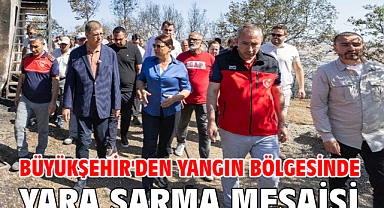 Büyükşehir'den yangın bölgesinde yara sarma mesaisi