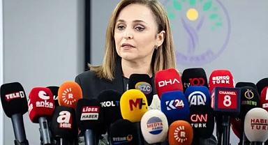 DEM Parti'li Doğan: Silahların bırakılması DEM Parti'nin taleplerinden biri